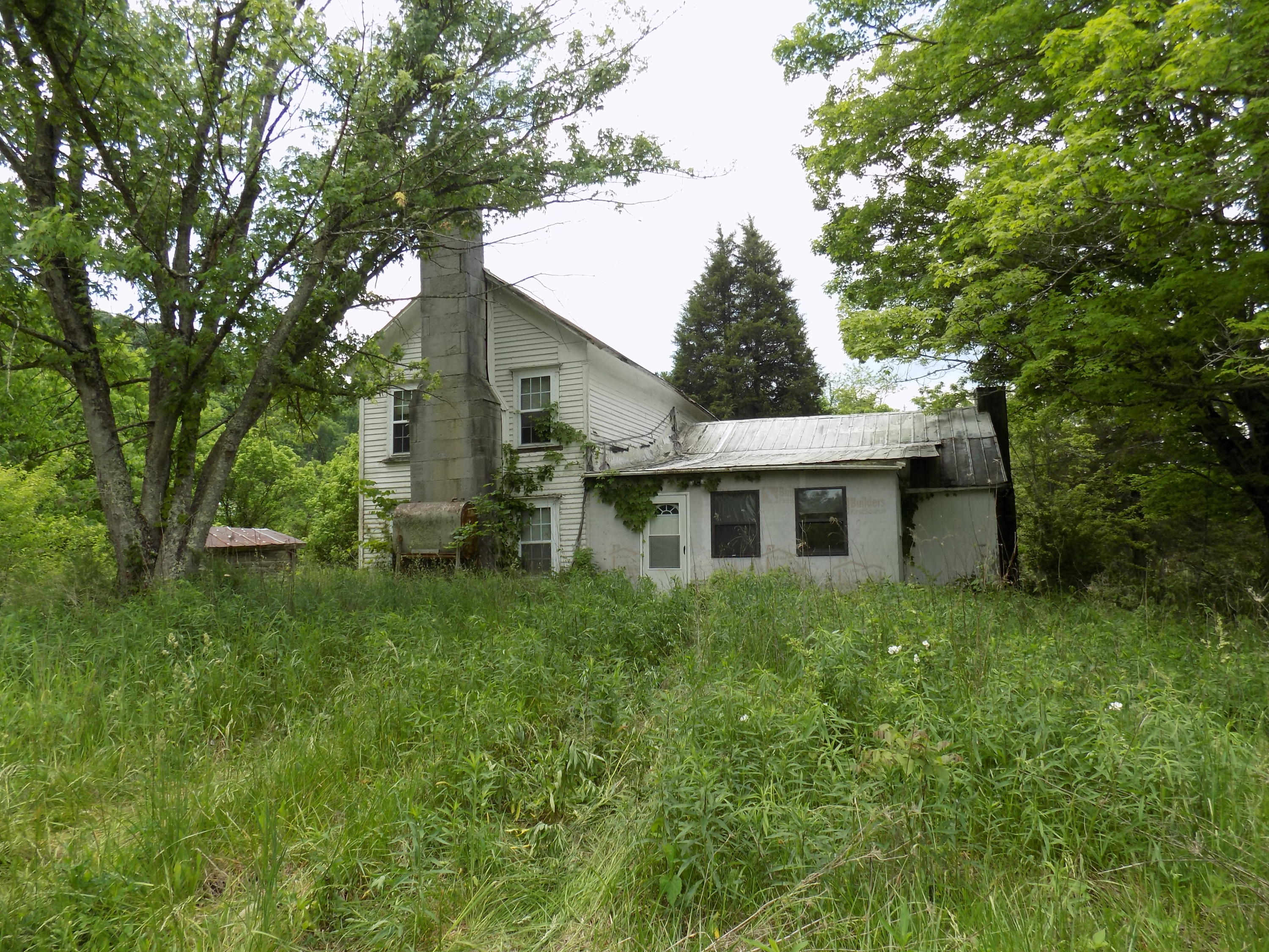361 Mountain Valley Road Eidson, TN 37731 - Photo 1 of 30 DSCN0068