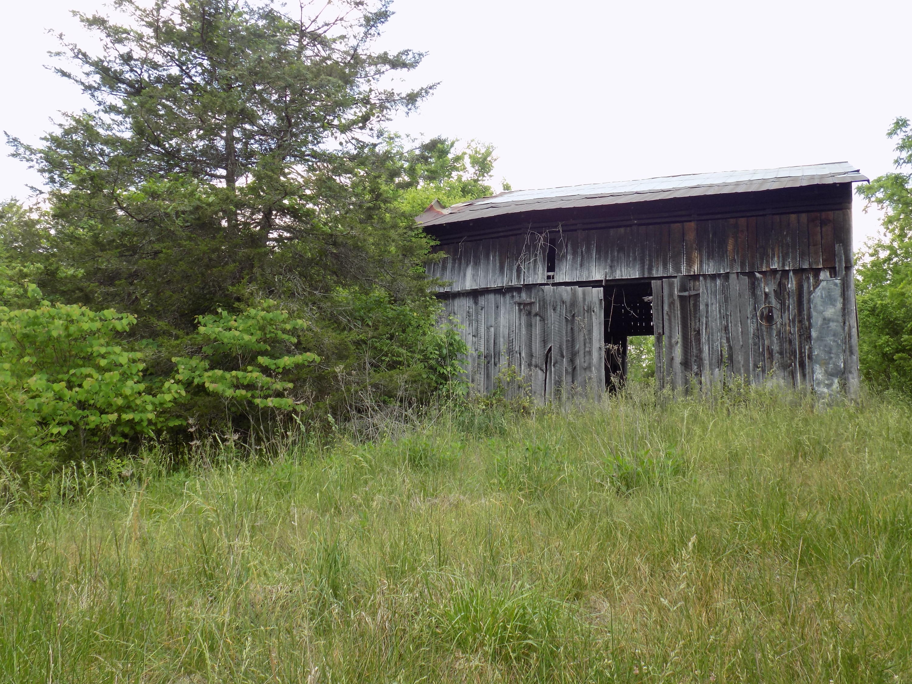 361 Mountain Valley Road Eidson, TN 37731 - Photo 12 of 30 DSCN0091