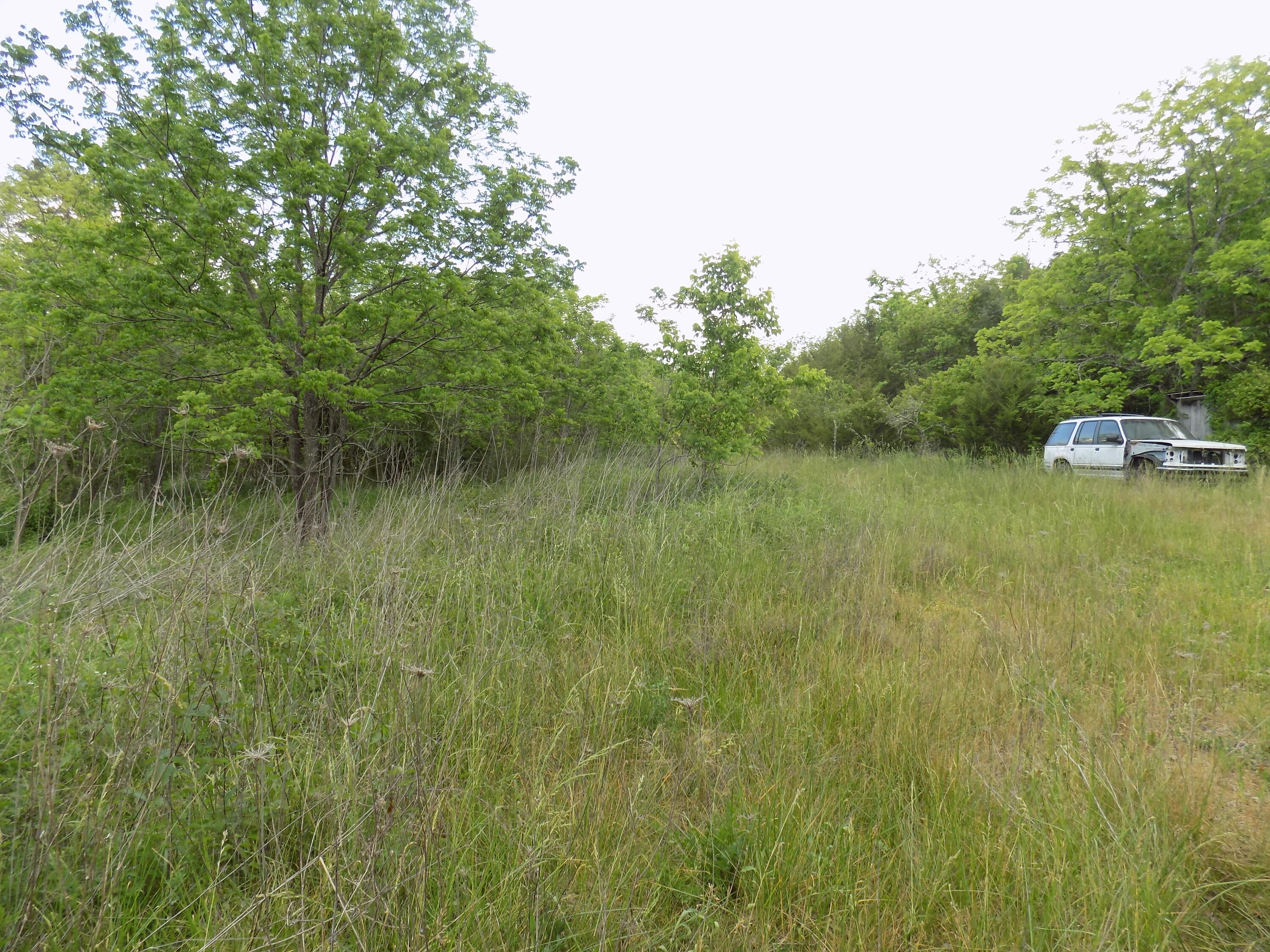 361 Mountain Valley Road Eidson, TN 37731 - Photo 16 of 30 DSCN0095