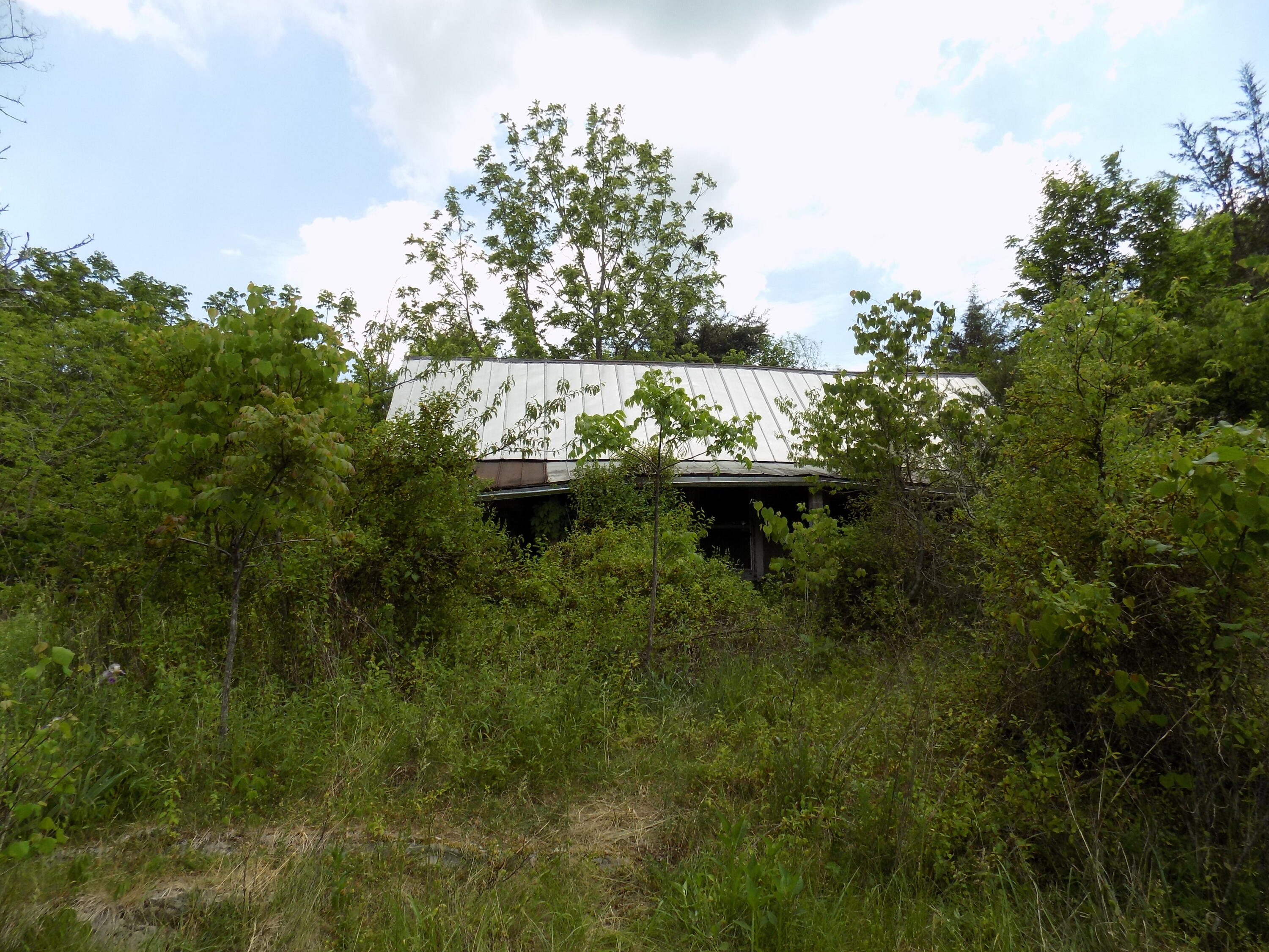 361 Mountain Valley Road Eidson, TN 37731 - Photo 17 of 30 DSCN0096