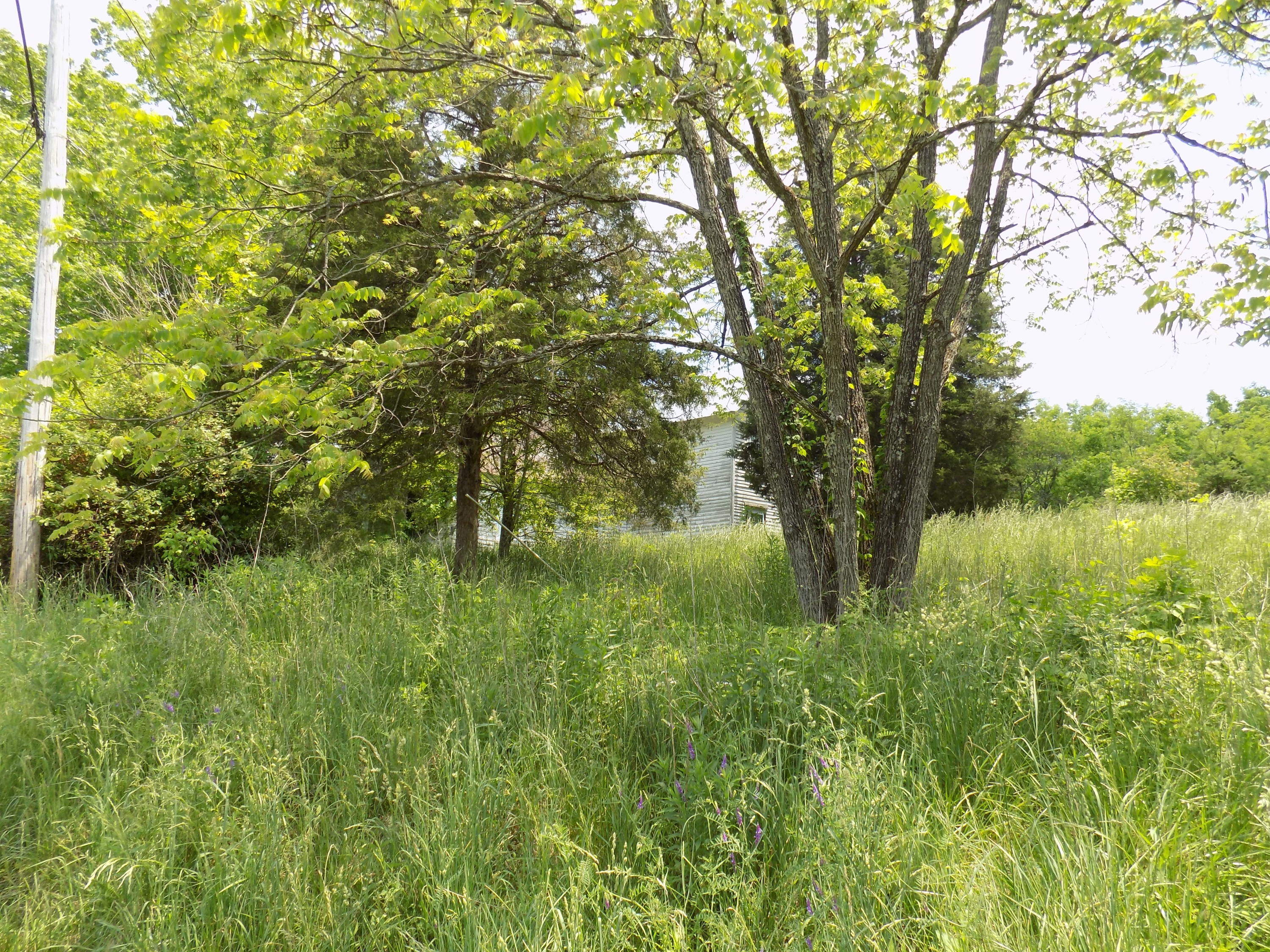 361 Mountain Valley Road Eidson, TN 37731 - Photo 19 of 30 DSCN0098