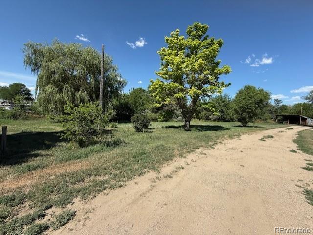 3608 Southeast Frontage Road Johnstown, CO 80534 - Photo 5 of 19 a view of a yard with a tree
