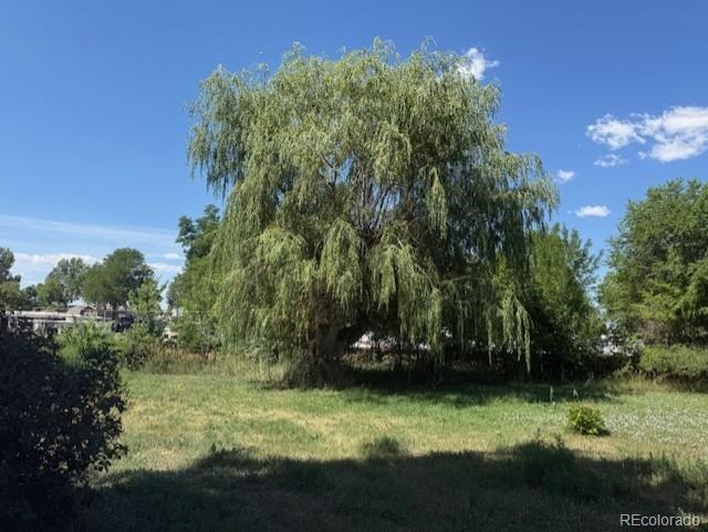 3608 Southeast Frontage Road Johnstown, CO 80534 - Photo 6 of 19 a view of a garden