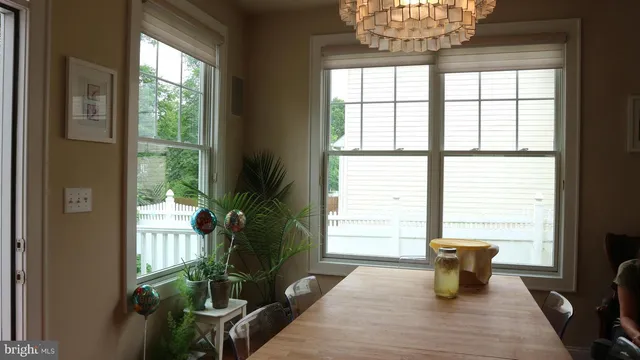 a living room filled with furniture and a potted plant