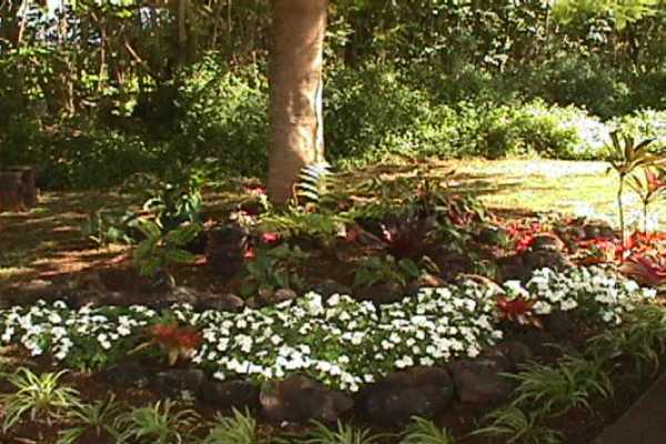 2760 Kauapea Road Kilauea, HI 96754 - Photo 8 of 40 Gallery Image 8