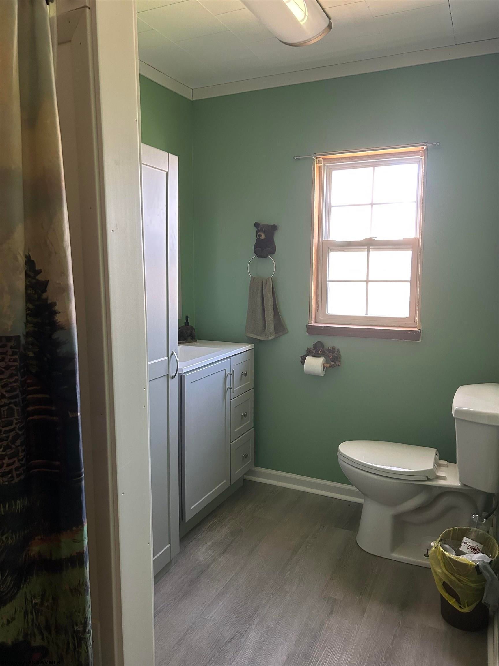540 Cherry Run Road Craigsville, WV 26205 - Photo 23 of 42 Gallery Image 23