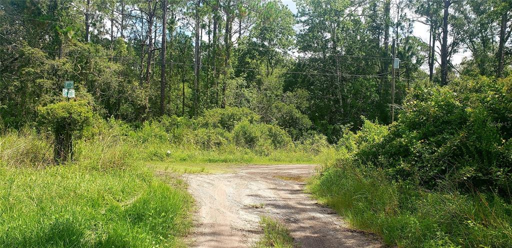 0 Ladd Avenue New Port Richey, FL 34654 - Photo 3 of 9 a view of yard with green space