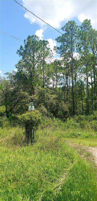 0 Ladd Avenue New Port Richey, FL 34654 - Photo 4 of 9 a view of a garden