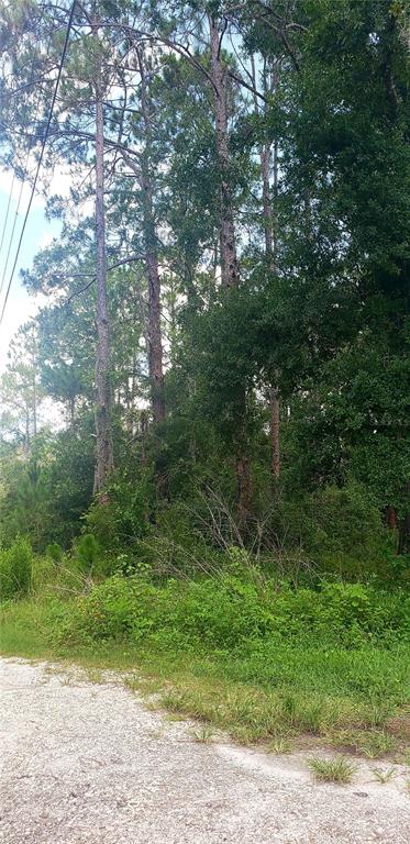 0 Ladd Avenue New Port Richey, FL 34654 - Photo 6 of 9 a view of outdoor space and yard