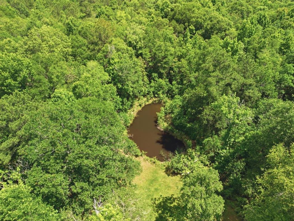 3801 Lauderdale Woodyard Road Kinder, LA 70648 - Photo 14 of 14