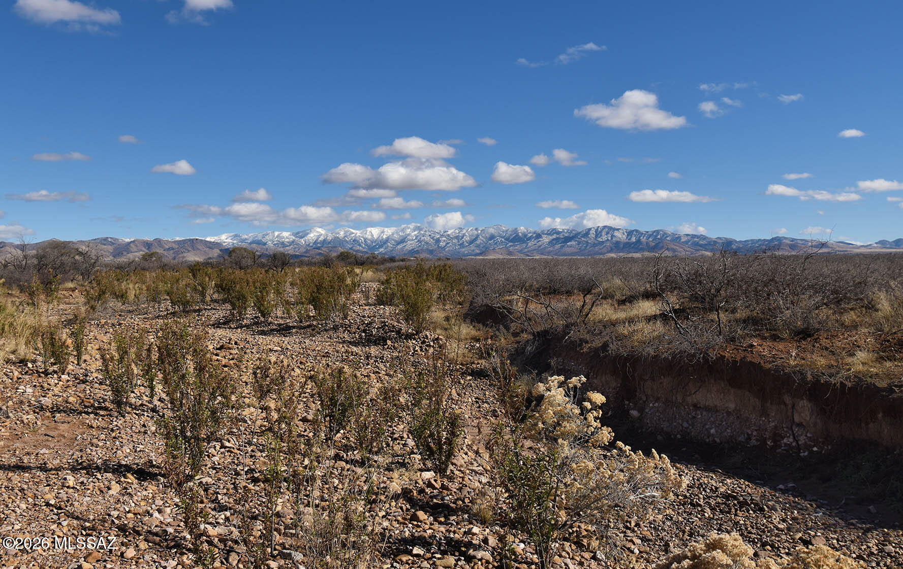 7.54-ac South Catclaw Road, Unit 10 Pearce, AZ 85625 - Photo 14 of 17 Gallery Image 14