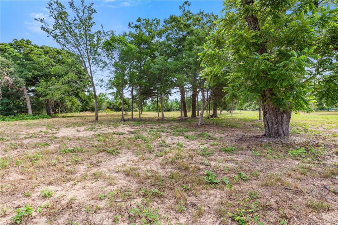 a view of outdoor space with trees