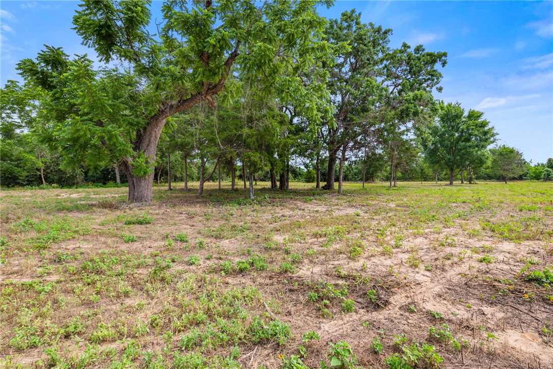 167 Signal Street Somerville, TX 77879 - Photo 2 of 12 a view of outdoor space with deck and yard