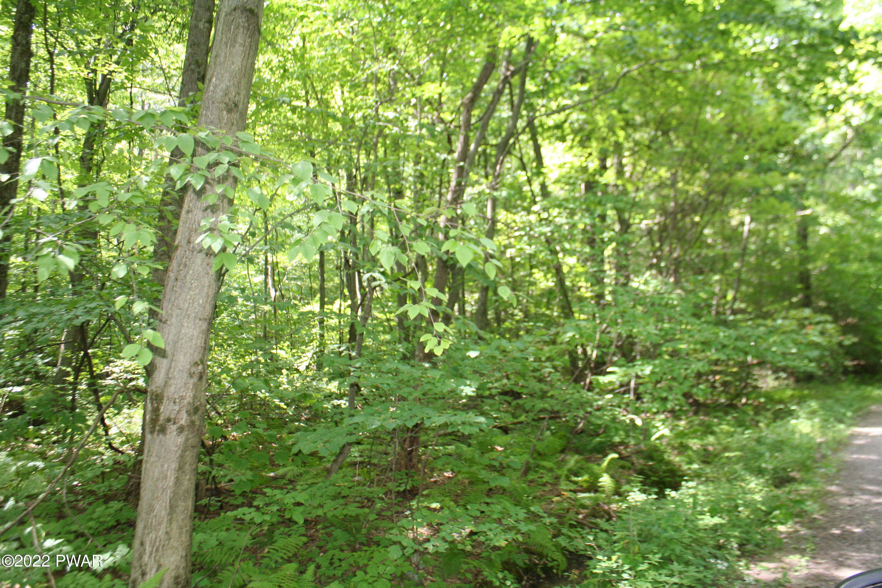 Oak Lane Waymart, PA 18472 - Photo 1 of 9