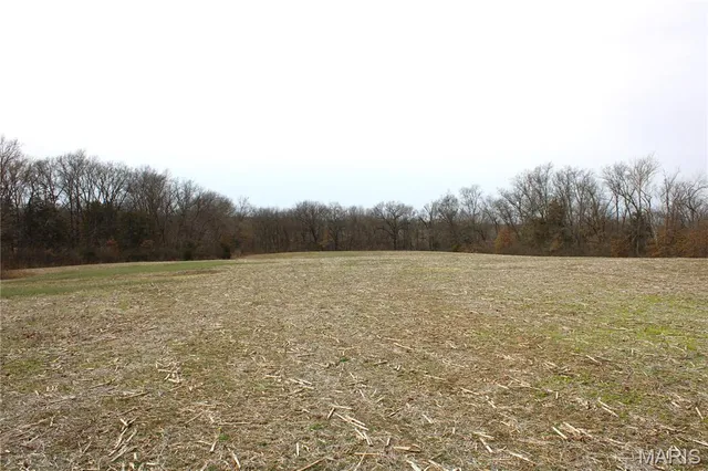 $97,300 | 3 Monroe Road 875, Paris, MO 65275