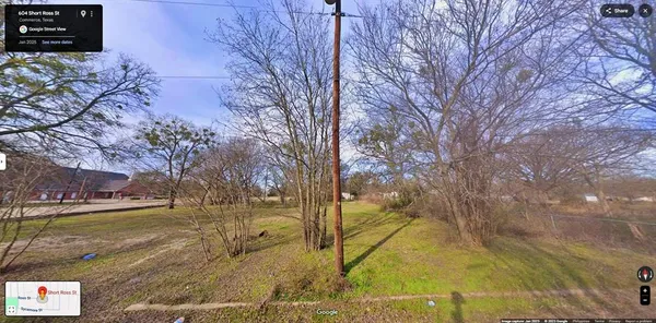 a view of yard with tree