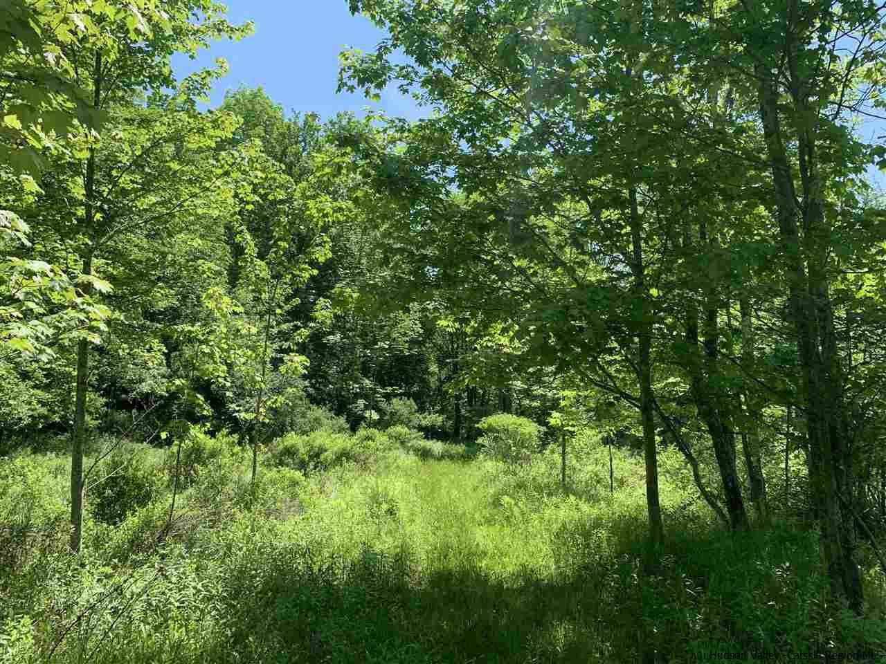 Off Kleis Road Fleischmanns, NY 12430 - Photo 3 of 13 Photo 3