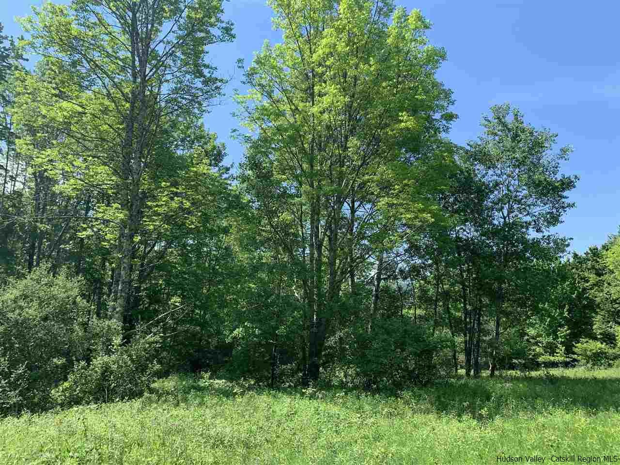 Off Kleis Road Fleischmanns, NY 12430 - Photo 6 of 13 Photo 6