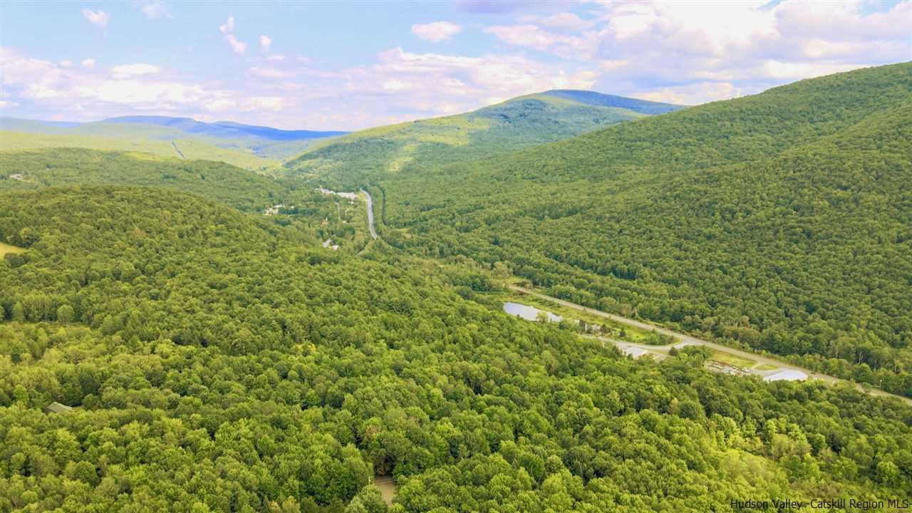 Off Kleis Road Fleischmanns, NY 12430 - Photo 8 of 13 Photo 12