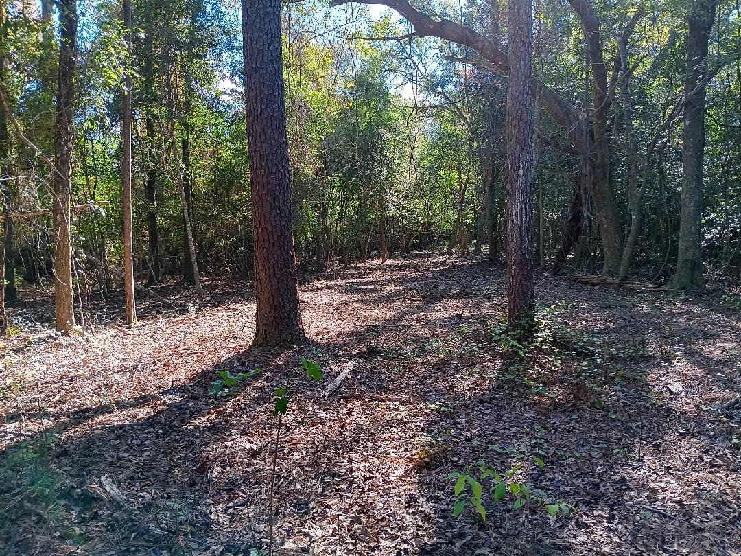 0 Carpenter Lane Bay Minette, AL 36507 - Photo 6 of 14 View