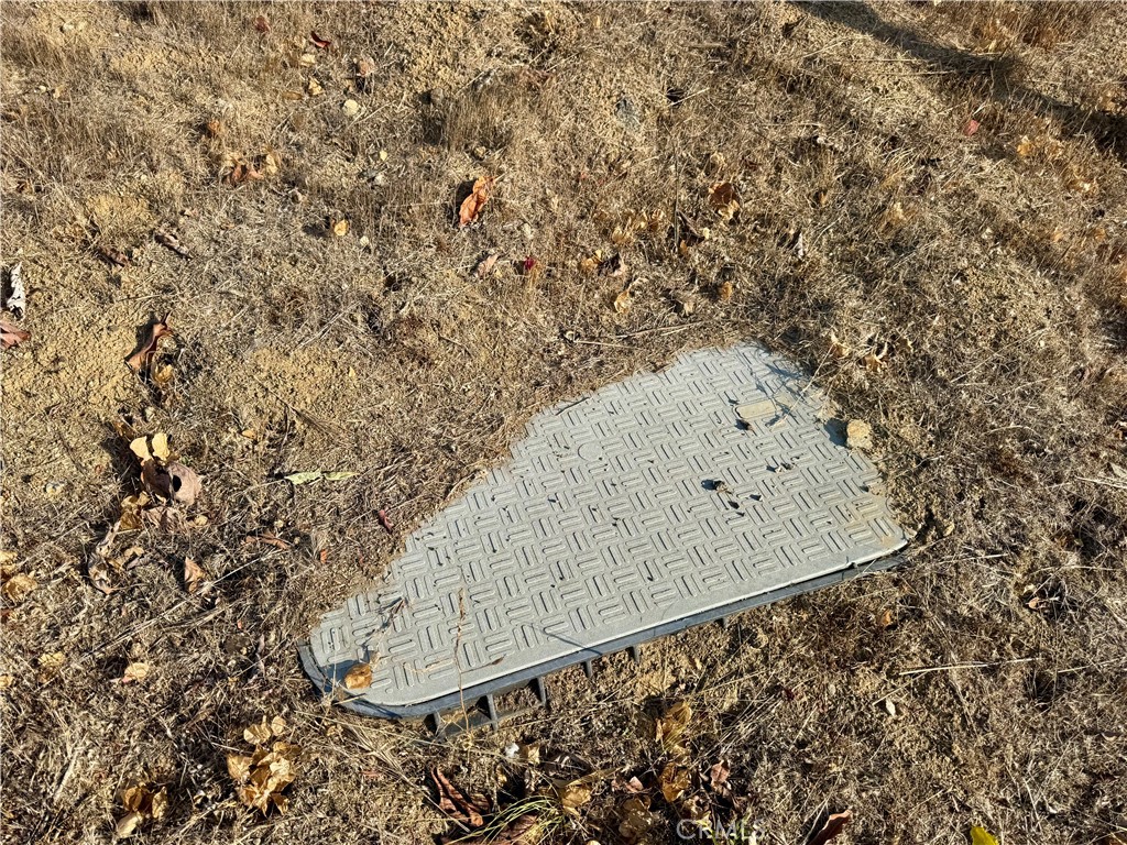 22735 Carancho Road Temecula, CA 92590 - Photo 16 of 17 wooden floor with a dry plant