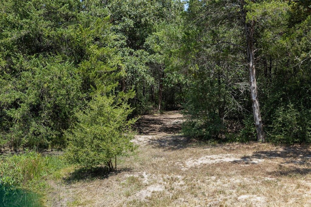 10791 Roy Road Flatonia, TX 78941 - Photo 11 of 29 Gallery Image 11