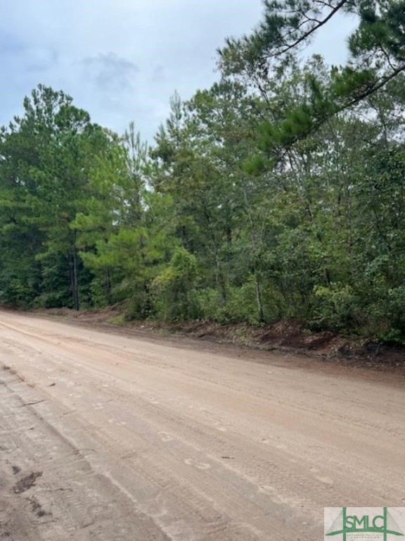 4-0 Blue Jay Road Guyton, GA 31312 - Photo 2 of 3