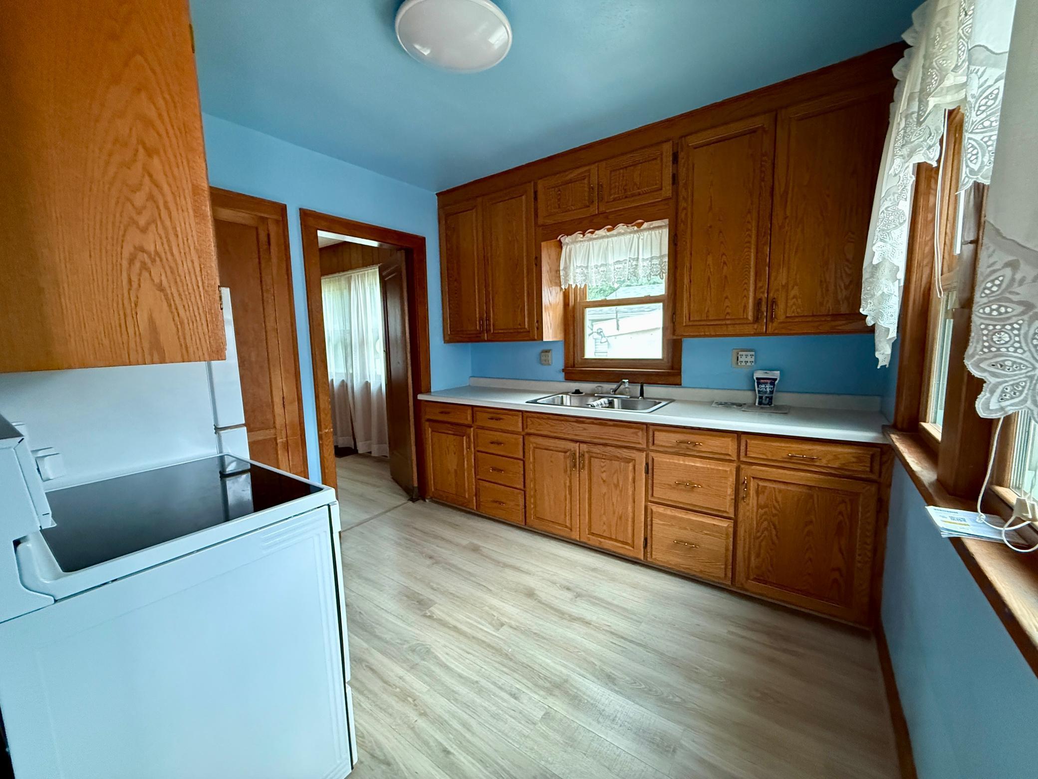 317 West Grant Street Spring Valley, MN 55975 - Photo 4 of 33 Gallery Image 4