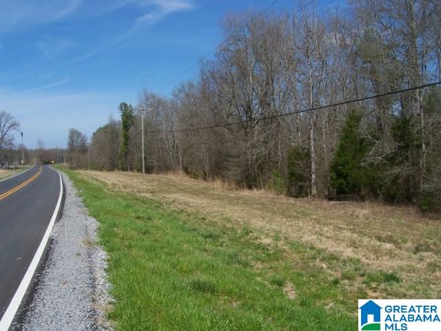 0 Mitchellville Road, Unit ACREAGE Lincoln, AL 35096 - Photo 10 of 19