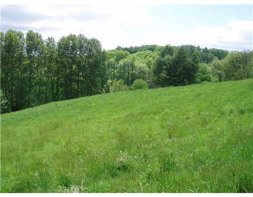 369 Bagdad Road Leechburg, PA 15656 - Photo 13 of 18 Land/Lot.