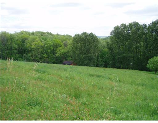 369 Bagdad Road Leechburg, PA 15656 - Photo 3 of 18 Land/Lot.