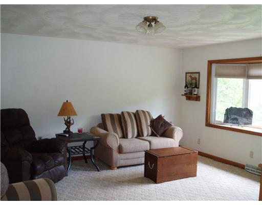 369 Bagdad Road Leechburg, PA 15656 - Photo 4 of 18 Living Room.