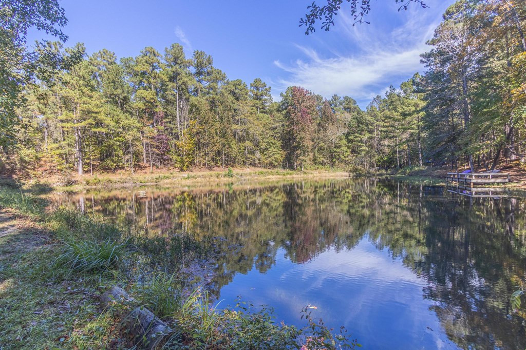 1109 Richardsons Lake Road Aiken, SC 29803 - Photo 8 of 66