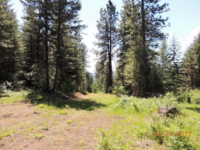 6 Cheyenne Rd Street St. Maries, ID 83861 - Photo 1 of 1 Main