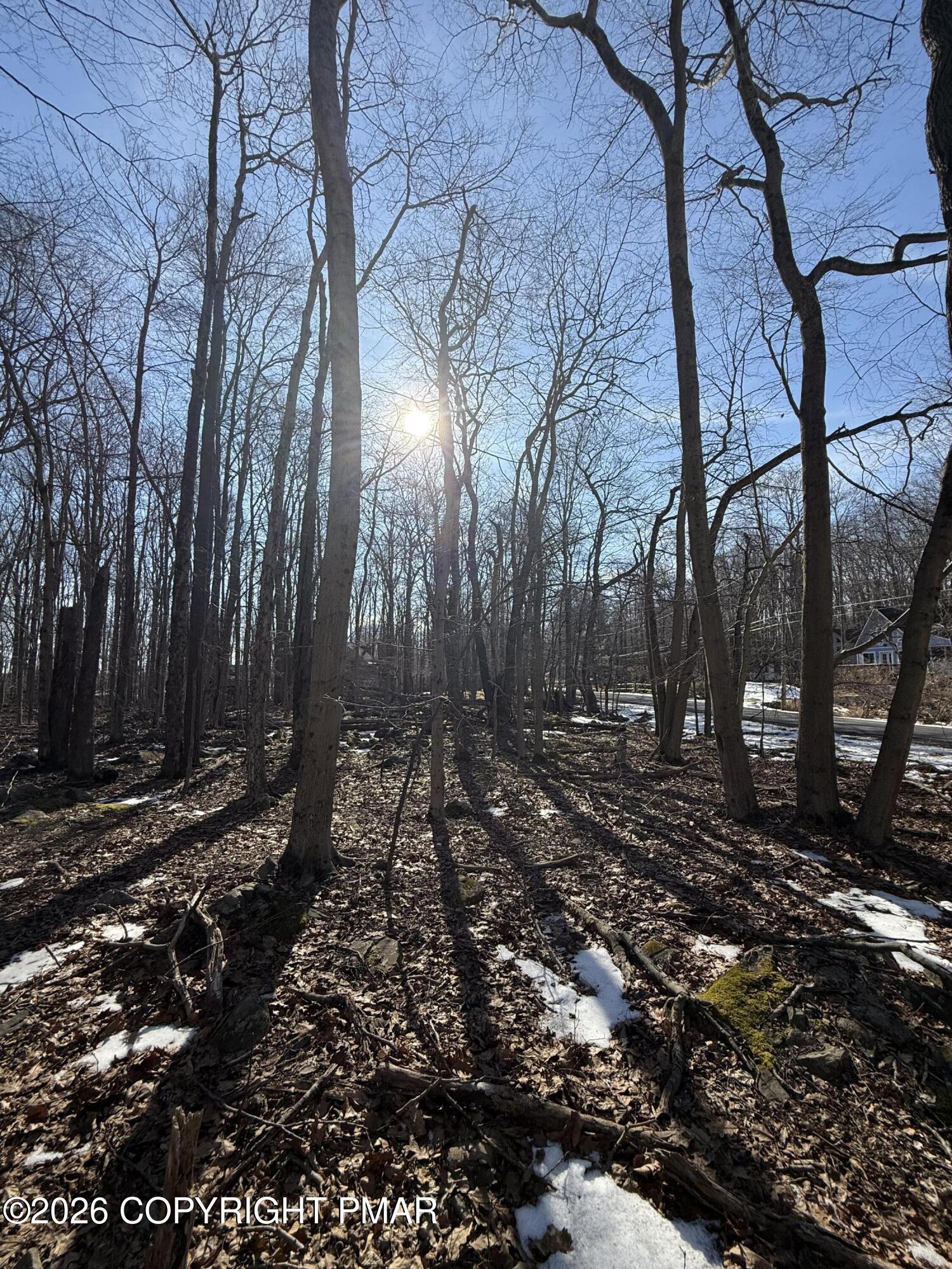 804 Selig Road Pocono Lake, PA 18347 - Photo 1 of 9 a view of a backyard of the house