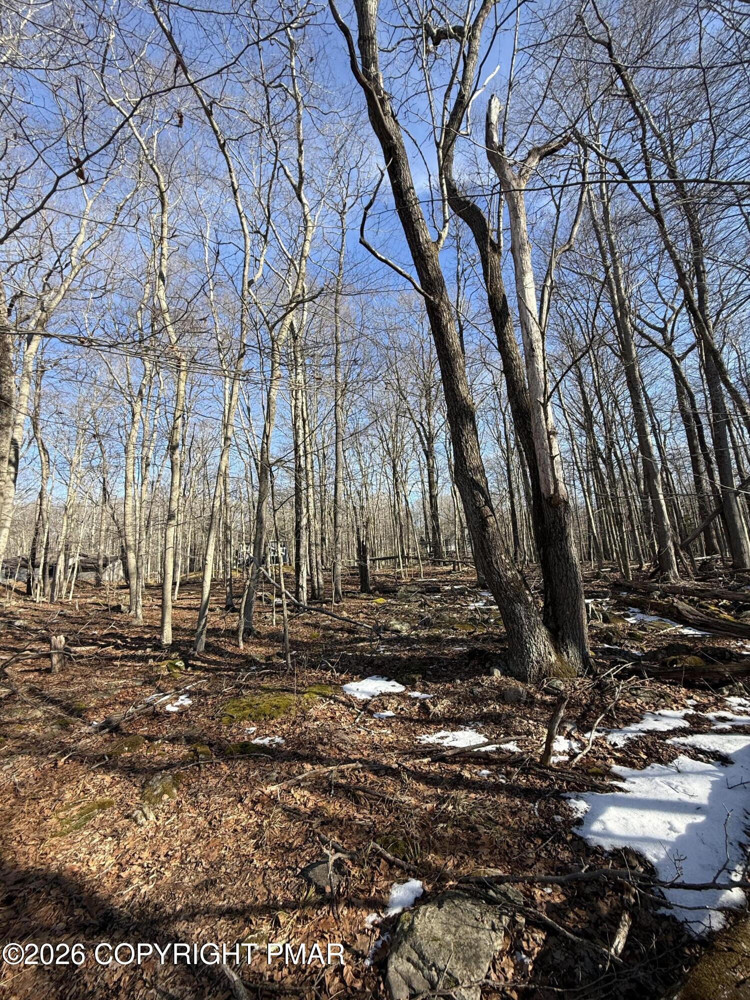 804 Selig Road Pocono Lake, PA 18347 - Photo 4 of 9 a view of a backyard of the house