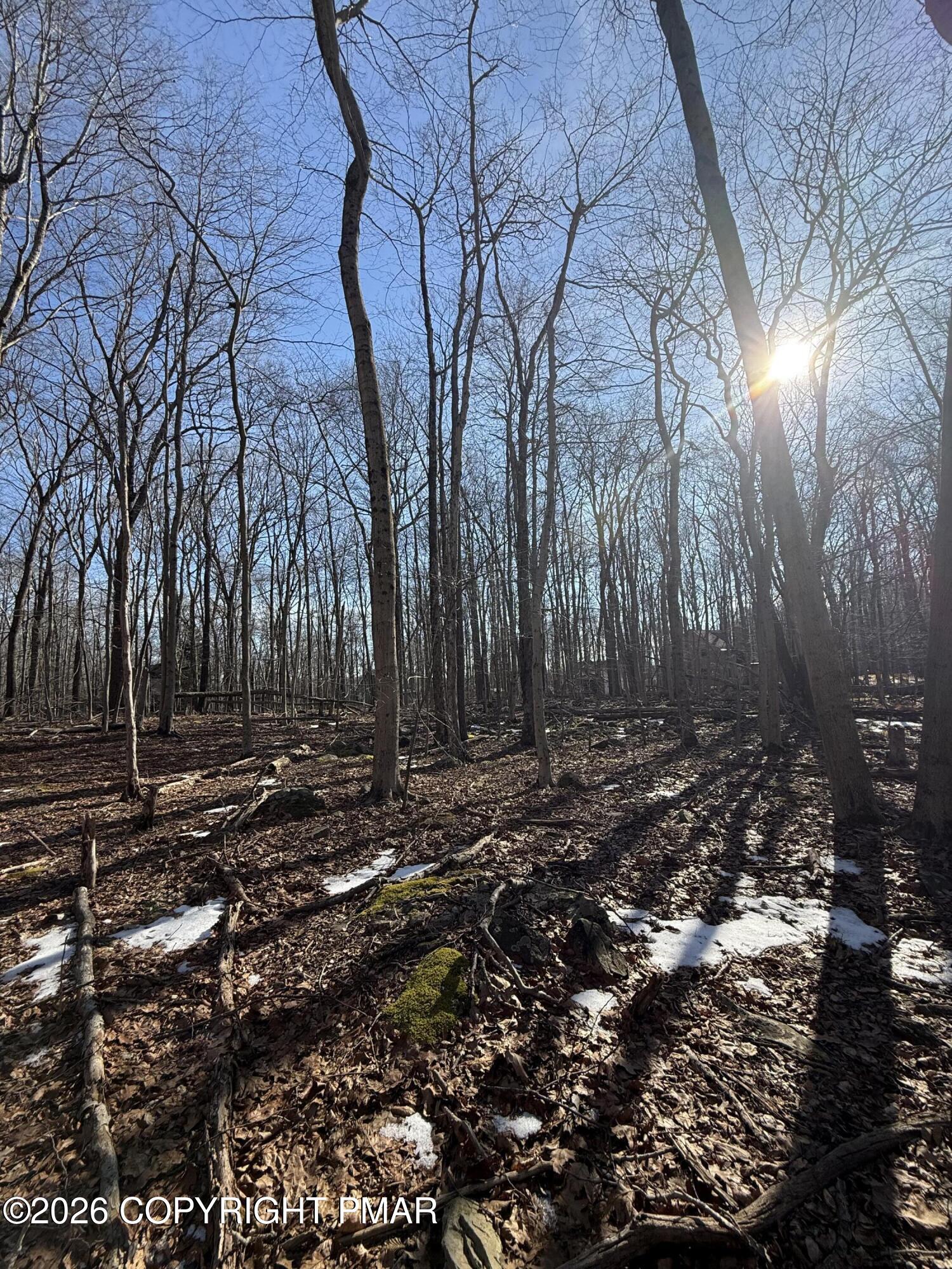 804 Selig Road Pocono Lake, PA 18347 - Photo 6 of 9 a backyard of a house with lots of green space