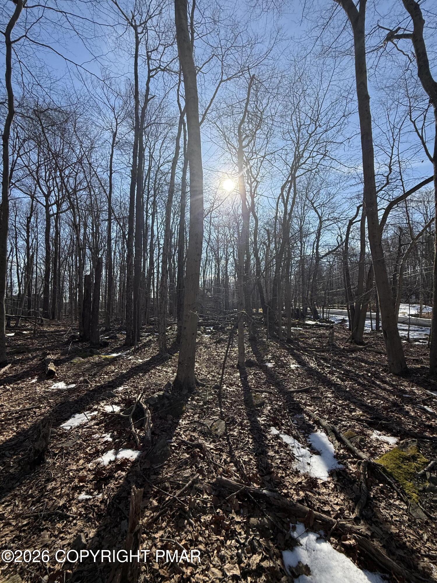 804 Selig Road Pocono Lake, PA 18347 - Photo 7 of 9 a backyard of a house with lots of green space