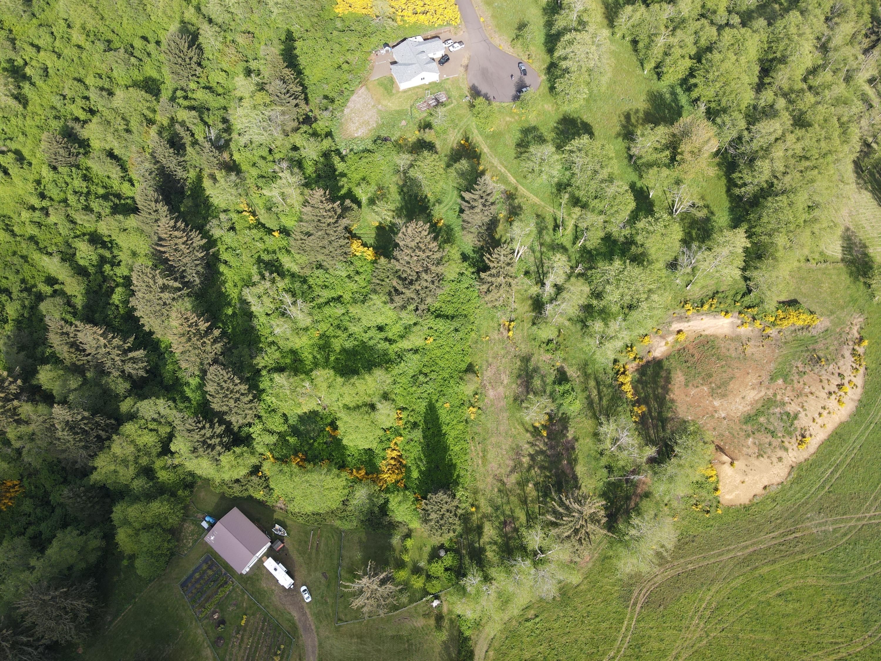 201 Hodgdon Road Tillamook, OR 97141 - Photo 10 of 33 DJI_0096