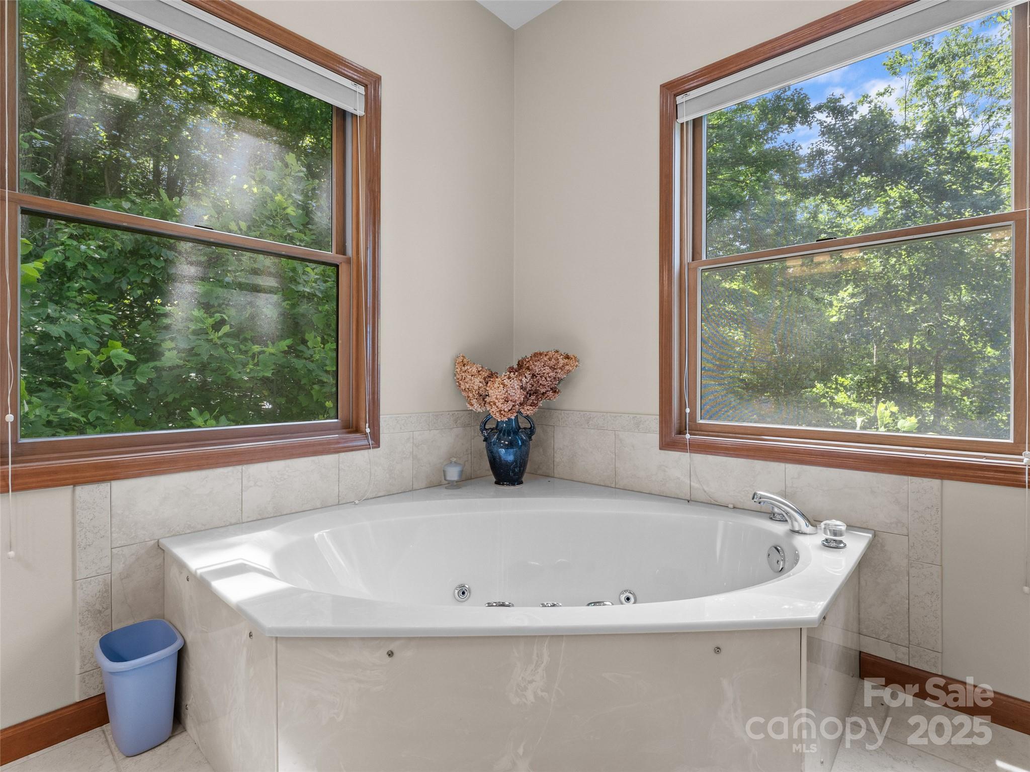 253 Sandy Lane Brevard, NC 28712 - Photo 21 of 39