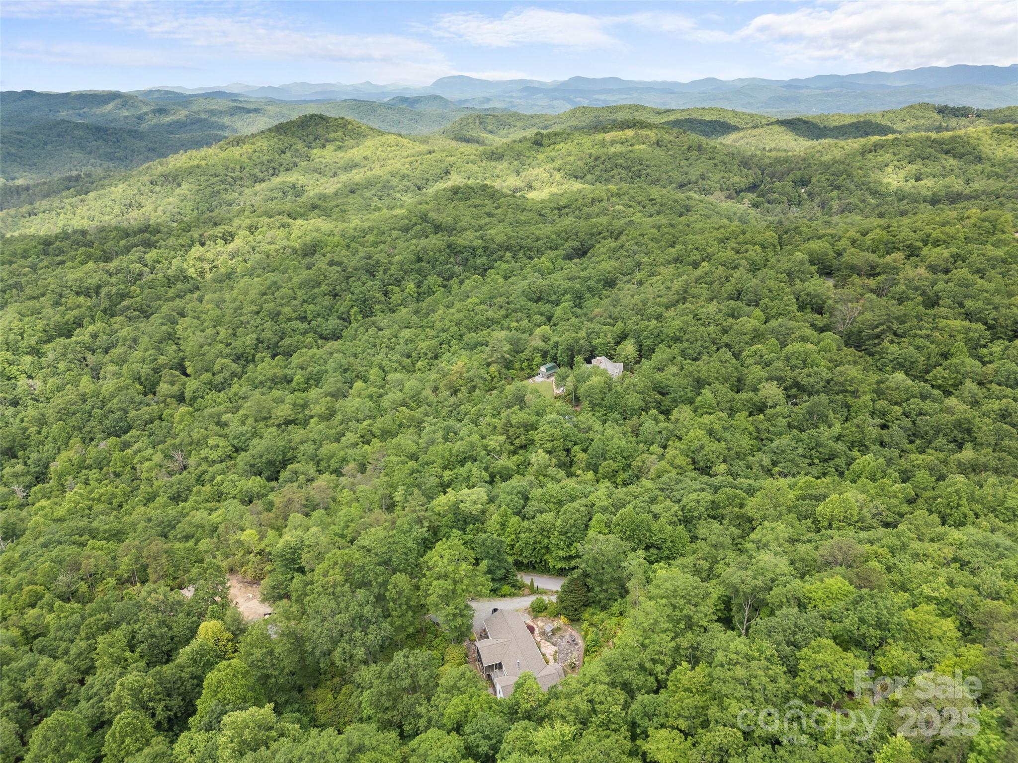 253 Sandy Lane Brevard, NC 28712 - Photo 36 of 39