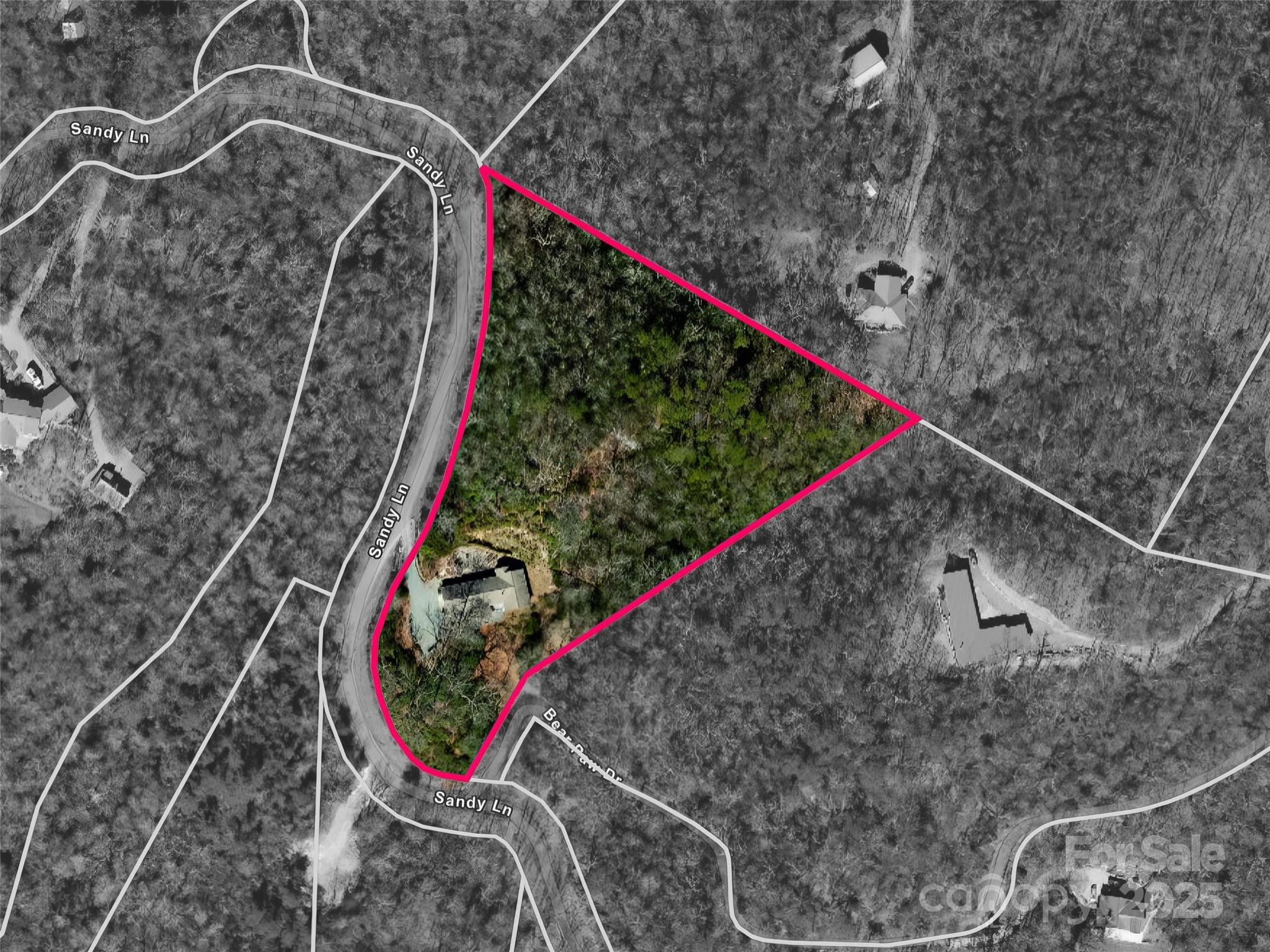 253 Sandy Lane Brevard, NC 28712 - Photo 37 of 39