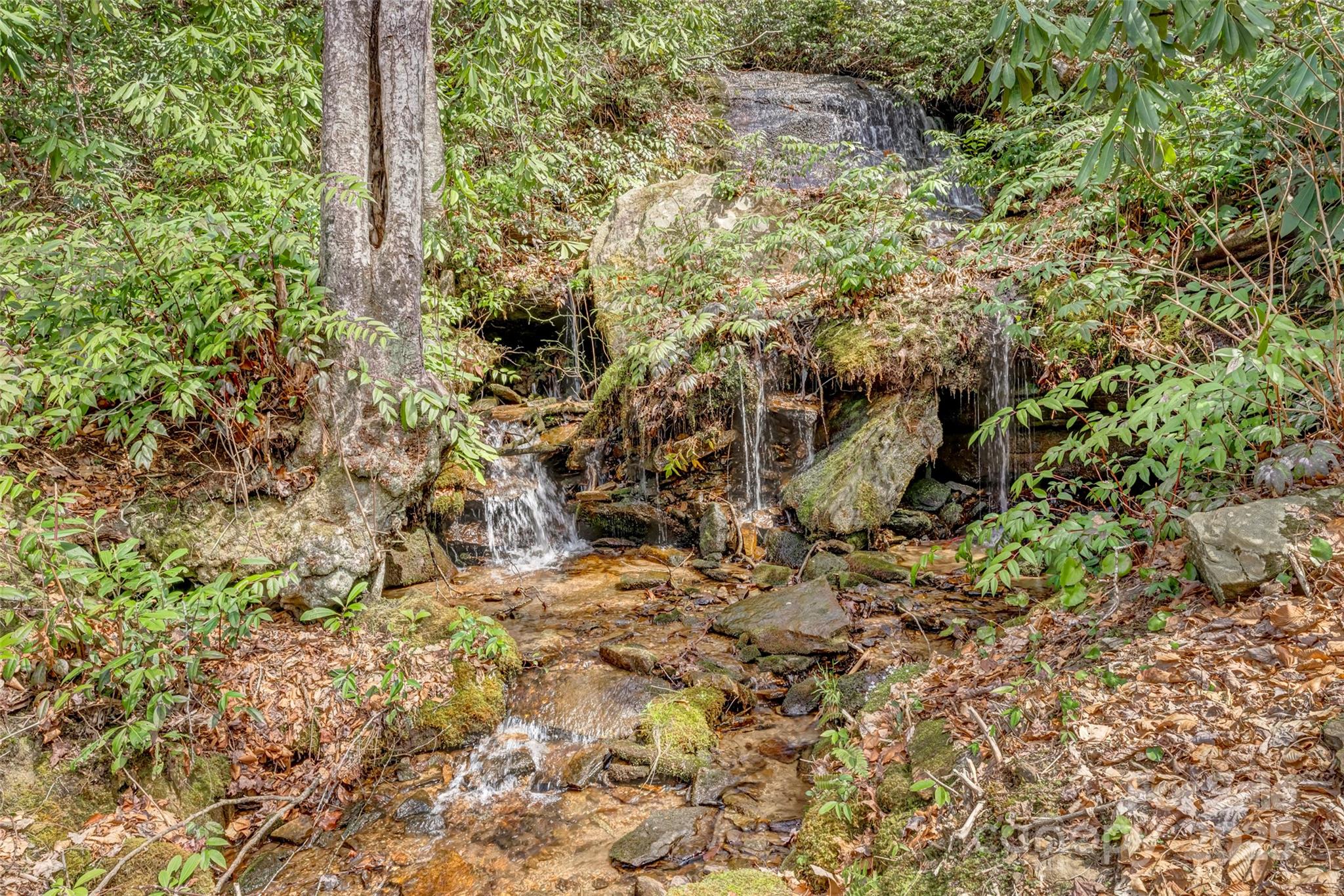 253 Sandy Lane Brevard, NC 28712 - Photo 38 of 39