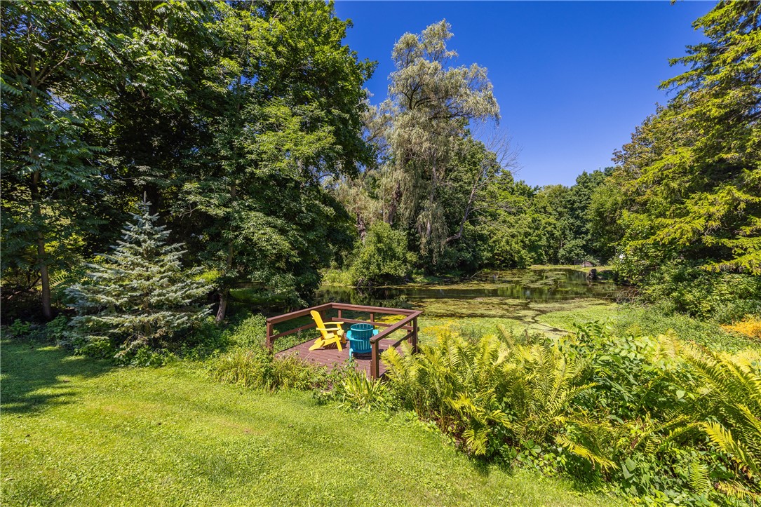 948 George Street Wheatland, NY 14511 - Photo 45 of 47