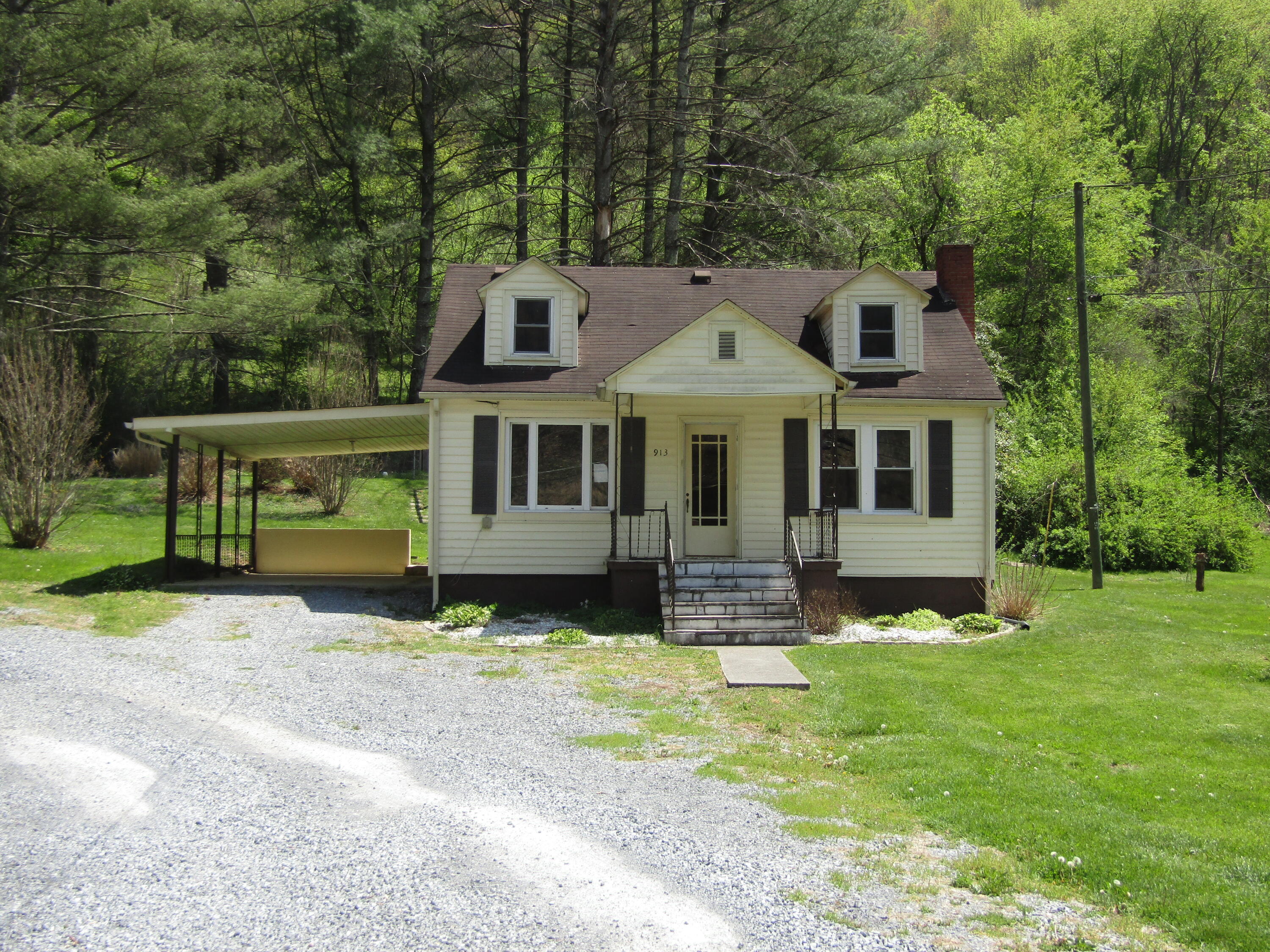 913 Allison Gap Road Saltville, VA 24370 - Photo 1 of 34 001