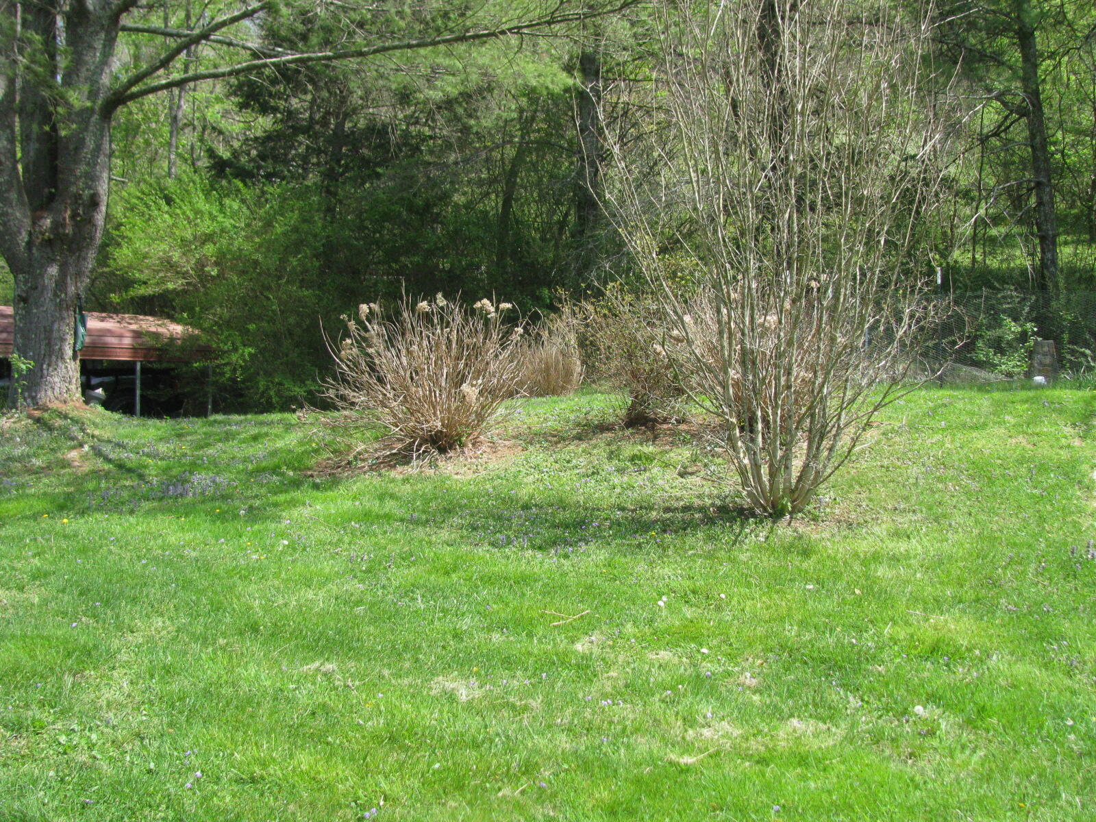 913 Allison Gap Road Saltville, VA 24370 - Photo 31 of 34 120