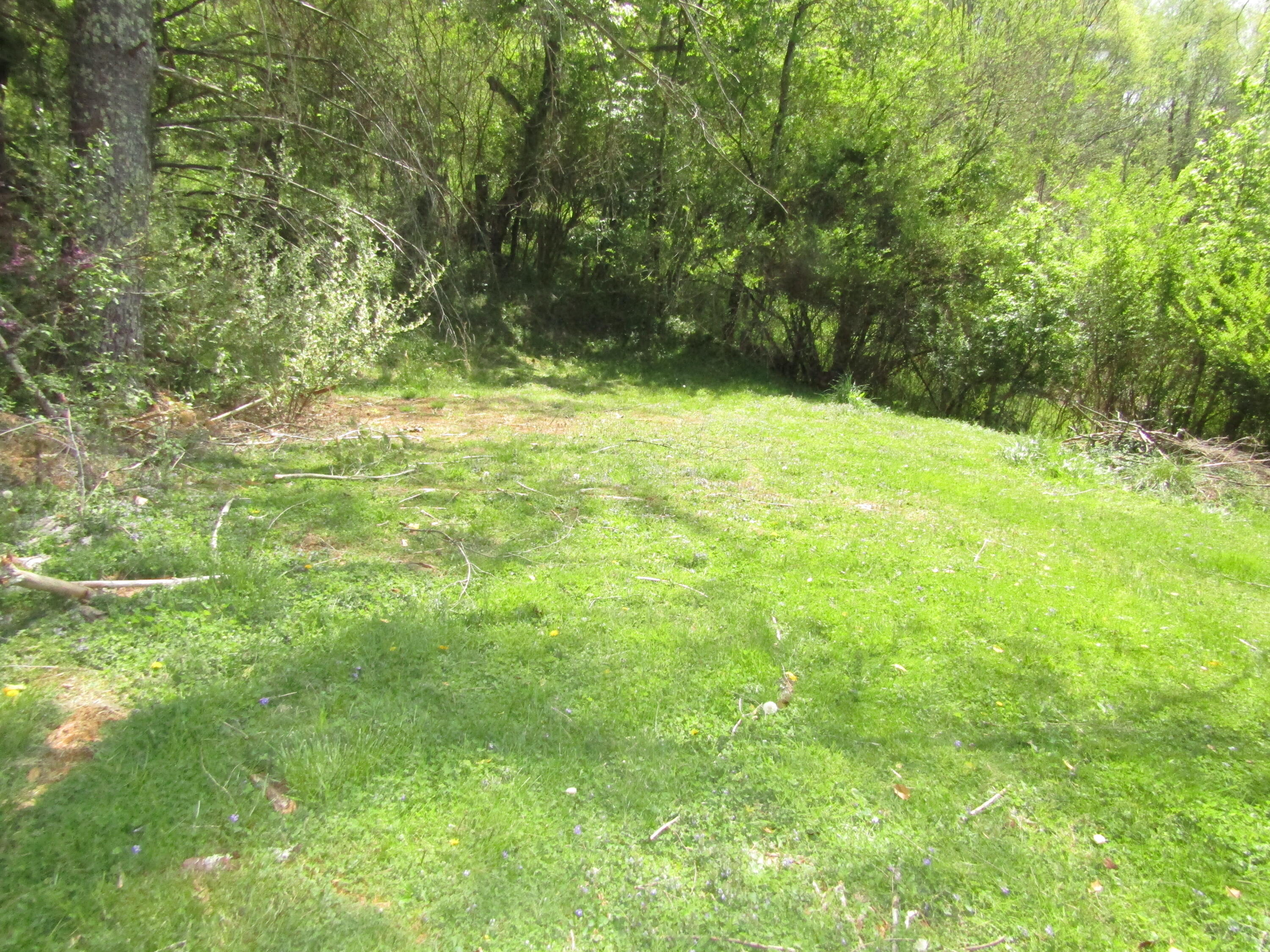 913 Allison Gap Road Saltville, VA 24370 - Photo 32 of 34 006