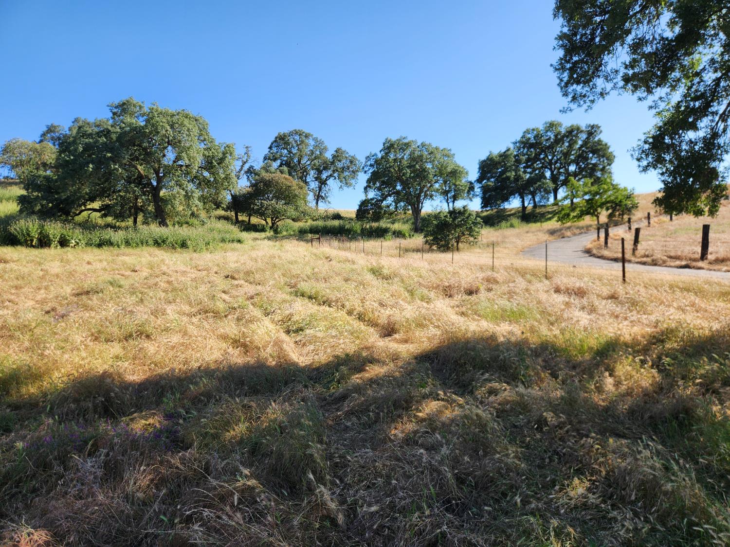 22601 North Johnson Road Clements, CA 95227 - Photo 35 of 39 a view of a yard with a tree