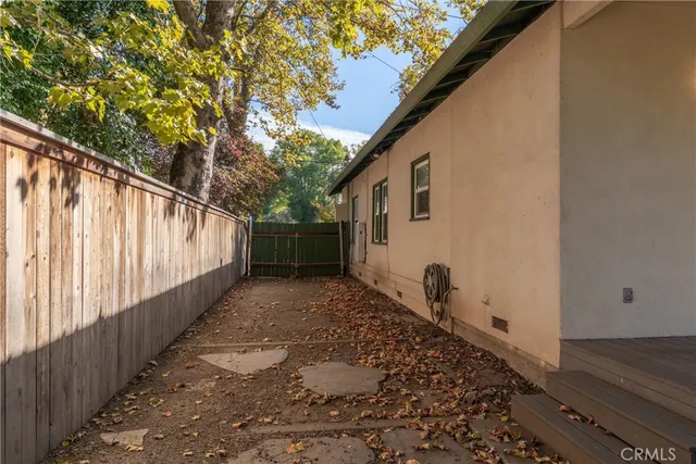a view of a yard with plants and large trees