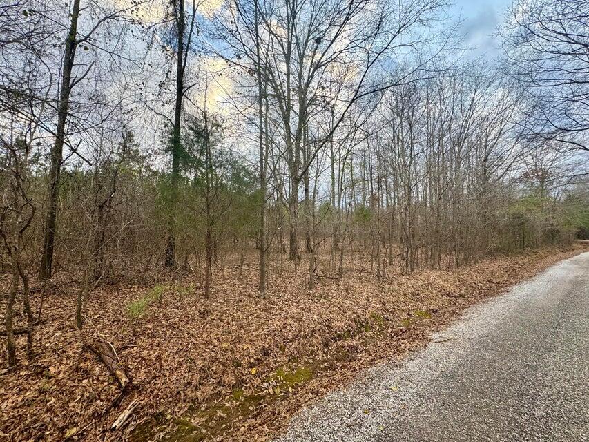 8 Sartain Road Dennis, MS 38838 - Photo 2 of 5 20250208212941426870000000-o
